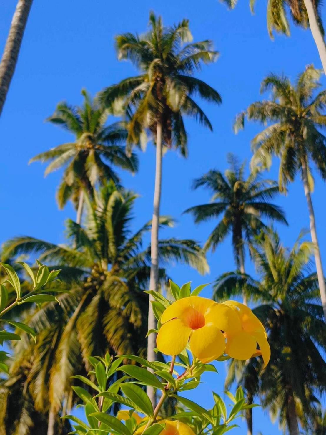Koh Kood Far East Resort Ko Kut Eksteriør billede